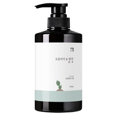 살림백서 오푼티아 & 밤부 샴푸 유칼립투스향, 500ml, 1개