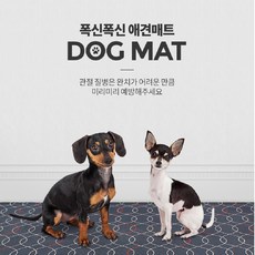 애견미끄럼방지매트 강아지매트 반려견 쿠션 논슬립 생활방수 층간소음방지 144cm X 3M, 라임블루 중