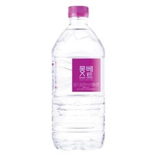 몽베스트 생수, 1L, 166개