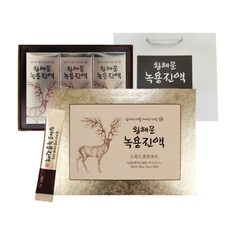 왕혜문 녹용진액 스틱 + 쇼핑백, 30개, 60ml