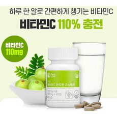 100% 과일로 만든 팜엔탑 비타민c 60정 인다안 구스베리 건강기능식품 직장인 수험생 청소년 30대 40대 50대 영양제 비타민
