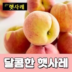 이천 장호원 햇사레 백도 황도 복숭아 3kg, 햇사레 황도 복숭아 3kg/10과내