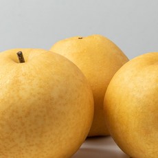 맛콤과일 나주배 (가정용/특품/선물세트) 산지직송, 가정용 3kg (8과내)