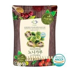 푸른들판 베트남 노니 분말 가루 100% 노니열매 과일 파우더 무첨가 haccp 인증 수입 식품 추천, 500g, 1개, -