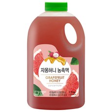 스위트컵 자몽허니 농축액 1.9kg, 단품