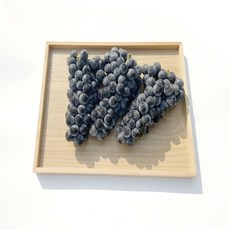 [블랙애플] 맛있는 제철과일 캠벨포도 특)3kg, 특)3kg캠벨포도