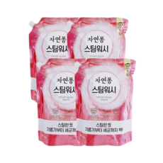 자연퐁 스팀워시 주방세제 애플향 리필 1L, 4개