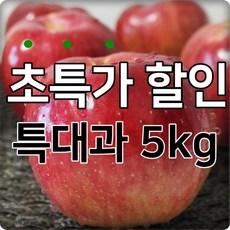 청송사과 산지의 싱싱함을 그대로 2022년 햇사과, 1박스, 06.경북사과 5kg 가정용 특대과
