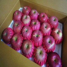[경북사과]고당도 알뜰 햇사과 특가행사 가정용, 1box, 01.가정용 사과 2kg/소과