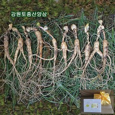 하주니 산양산삼 8년근 강원청정삼 산양삼 장뇌삼 장뇌산삼 야생 산삼 황절삼 무농약 자연산 면역력 명절 선물세트 부모님 건강 선물, 1세트, 3_산양산삼 10년근 10뿌리