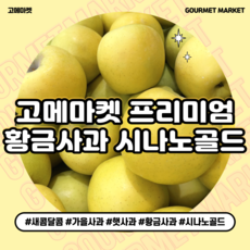 [고메마켓] 프리미엄 아삭상큼 황금사과 가을제철 시나노골드 사과 5kg 10kg 정품 꿀 사과, 황금사과 시나노골드 중과 5kg ( 16-18과)