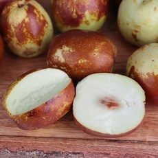 경북 영천 햇 사과대추 1kg, 2kg_상, 1개