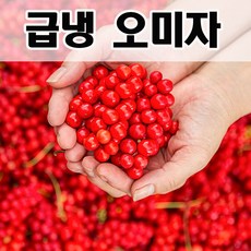 (급랭) 2022년 문경 냉동 오미자 세척오미자 5kg / 10kg