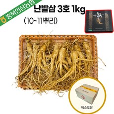 인삼농협 6년근 햇 인삼 수삼 선물세트 3호(대10~11뿌리)1kg 난발삼 설 명절 부모님 건강 효도 선물