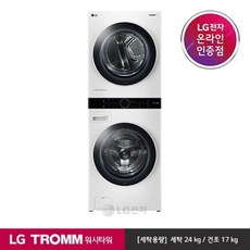 LG전자 LG TROMM 워시타워 원바디 세탁건조기 W17WTA, 폐가전수거있음