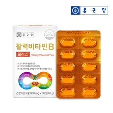 활력 비타민b 비타민비 비타민b군 플러스 8종 복합 수용성비타민 클로렐라 블루베리 농축분말, 2박스