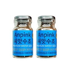 [모비딕] 안핑크 씨앗수초 M