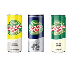 올따옴기획 캐나다드라이 250ml (진저에일12+토닉워터6+소다6), 1개