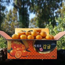 귤담원 제주 제철 감귤, 1박스, 06.감귤 5kg 소과(2S)