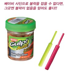 버클리 웜 베이비 사딘 병타입 / 1.5인치 2인치, 베이비사딘 2인치 - GL