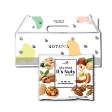넛츠피아 잇츠넛 프리미엄 하루견과 선물세트, 23g, 25개입