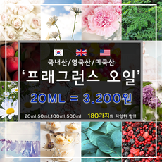 [드그라쎄] 프리미엄 프래그런스오일 350종 캔들 디퓨저 석고방향제 100ml, 국내산 129.플레르드뽀 20ml