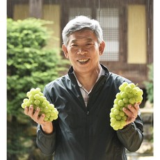 [GAP인증] 경산 용성농협 샤인머스켓 (당도선별), 2kg(가정용 2~4송이)