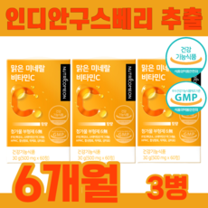 인디안구스베리 비타민C 비타민씨 미네랄 비타민c vitamin c 수용성비타민 코셔인증 유기농베리11종 급속동결 온가족 비타민