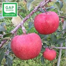 청송탑농원 꿀사과 5kg/특대/대과/중대/중과/가정용/소과, 소과 꼬마 25-30과