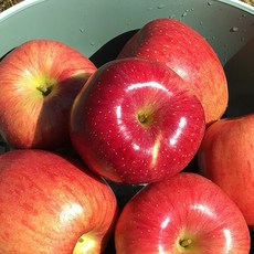 충주사과 호낭골사과 특과 3kg/5kg/10kg, 3kg 특과 14과, 3kg