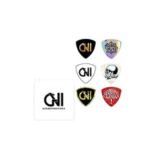 천주머니 인태 GUITARHYTHM TTOUR 2019 공식 굿즈 G ピック픽 세트
