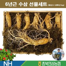 이마켓 산지직송 국내산 충북인삼농협 6년근 햇 수삼 인삼 선물세트 1kg 7~ 22뿌리 뿌리삼 세척삼 생인삼 원수삼 난발삼 뿌리 지인 설 명절 추석 부모님 건강 효도 선물, 충북농협 수삼선물세트, 특대(9~10뿌리)