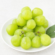 곰곰 알알이 샤인머스켓, 500g, 1팩