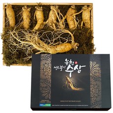 충북인삼농협 6년근 수삼 선물세트 난발삼 원수삼 1kg 5가지 구성 중 택1 농협 신토불이 수삼 인삼, 원수삼 왕특대/7-8뿌리/1kg