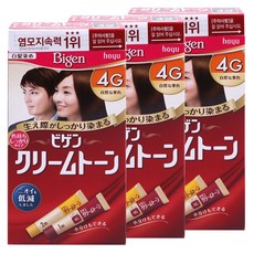 (무료배송)비겐크림톤 40gX3통 멋내기염색약, 3통, 4G