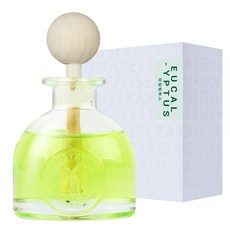 허브타임 차량용 디퓨저 60ml, 유칼립투스, 1개
