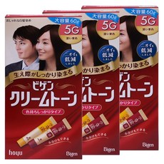 비겐크림톤 바르는 새치 염색약 대용량(60g) 진한밤색 5G 3개 염모제, 진한밤색(5G) x 3개, 1세트