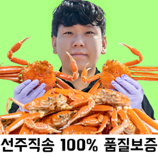 [서울총각네] 품질보증100% 품질 좋은 홍게 대게 (일반/프리미엄)3차 선별 살이 꽉찬 홍게 대게, [정품/프리미엄]박달형홍게 2kg(5~6미)