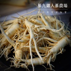 (삼그루) 세척파삼 5~6년근 바로먹는 수삼 금산인삼 세척인삼 세척수삼 굵은파삼, 선택3 세척파삼 800g