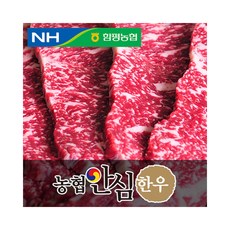 농협안심한우 채끝살, 1팩, 500g 구이용(1등급)