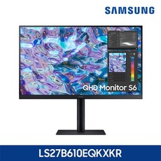 삼성전자 S27B610 IPS 광시야각, 삼성전자 S27B610 27형 QHD IPS