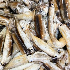 구룡포 생물 통찜 한입 오징어 1kg, 1kg 내외 (12-15미 국내산)