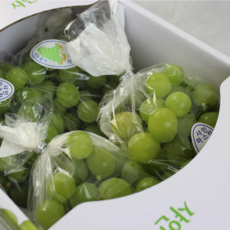 사탕같이 달달한 샤인머스켓 2kg 망고포도 (3-4수) 포도