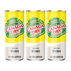 캐나다드라이 토닉워터 250ml, 40개