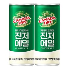 캐나다 드라이 진저에일 250ml x 12입, 12개