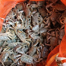 윤스랩 해남 갯벌 칠게 살려서 배송 2kg 3kg, 1box, 생물 2kg