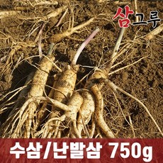 금산인삼 5년근 6년근 수삼 난발삼 원수삼 세척무료 750g 1채, 1.일반-난발 중 750g 12-15뿌리