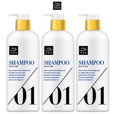 미쟝센 헤어테라피 샴푸 750ml x 3개, 1개