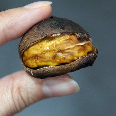 햇밤 국내산 칼집밤 알밤 삼조생 밤 1kg 대 칼집있음 군밤용밤