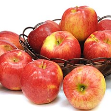 사과 5kg 주스용(랜덤과), 단품